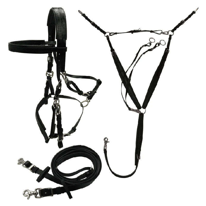 مجموعة الرسن واللجام على الطراز الإنجليزي للحصان، رين التحمل من مادة PVC المصنوعة من النايلون المتين + Martingale