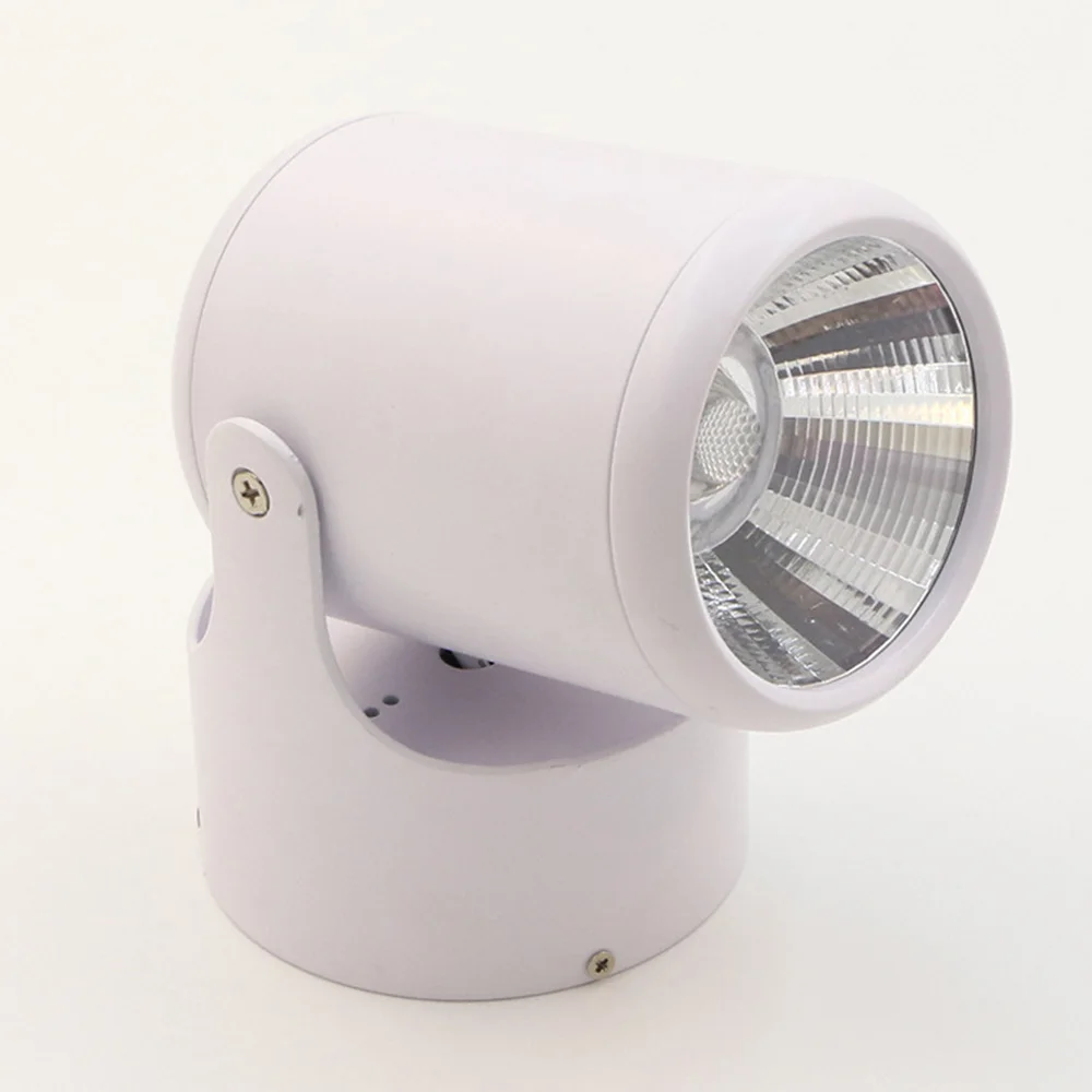 

10W 20W Surface Mounted Spot light Led Downlights AC 85-265V 180 Degree Rotation White / Warm White Super Bright Ceiling Lamp