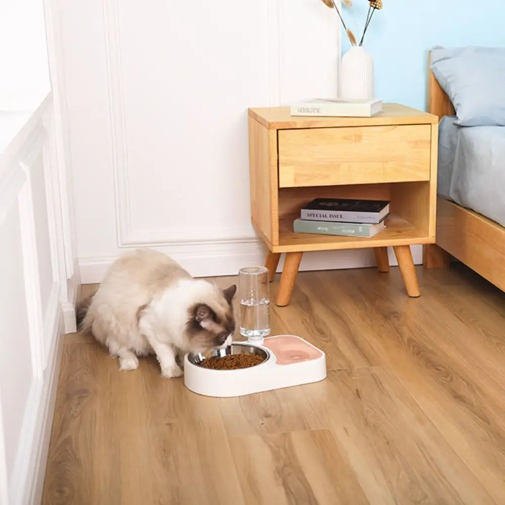 음식 그릇 스테인리스 스틸 고양이 그릇 방수 미끄럼 방지 음식 그릇 반전 방지 슬로우 피더 강아지 용품