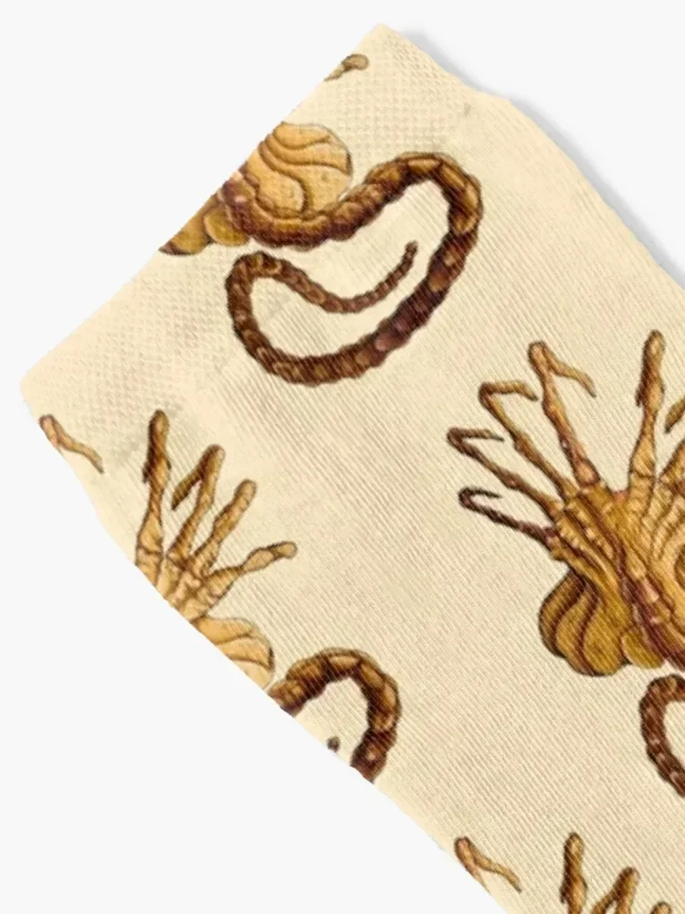 Face Hugger Socks Stockings snow Socks For Women Men's