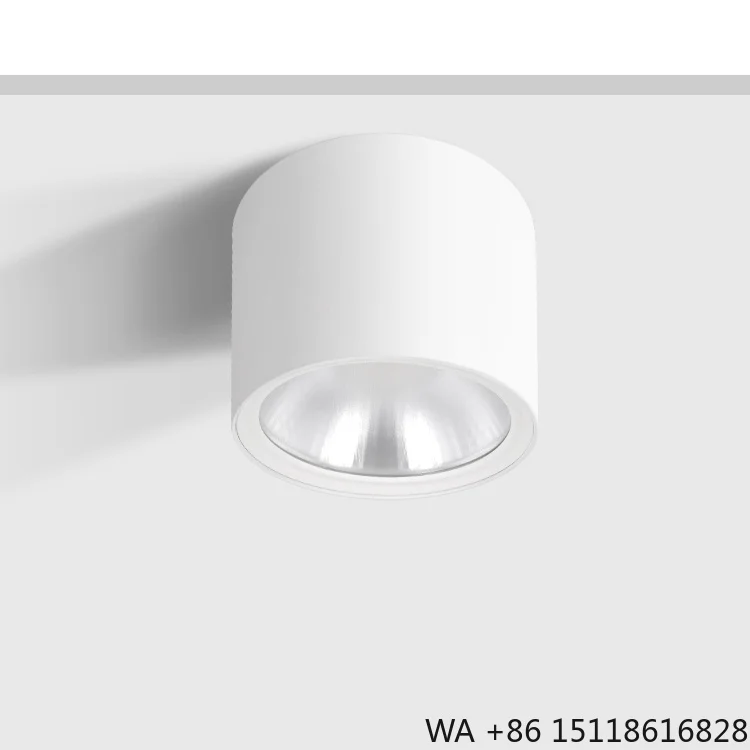 15W 30W 50W Surface Mounted LED Ceiling Cylinder Down Light Die-Casting Aluminum SMD Downlight
