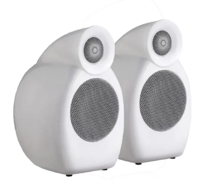 

C-5 Hearing No.2 Floor Speaker Bookshelf Speaker Resin Case Active / Passive Battery Lossless