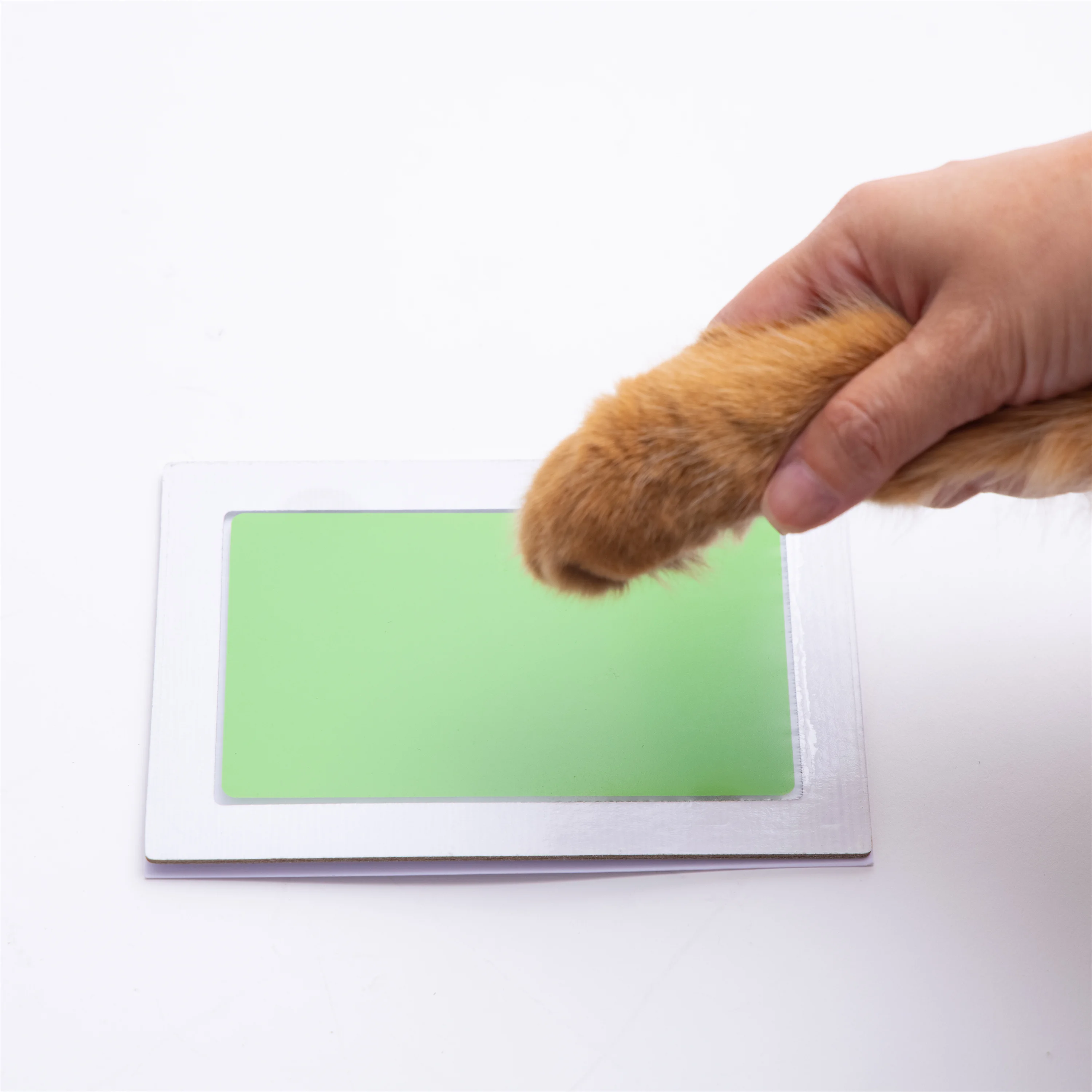 وسادة بصمة اليد وبصمة القدم غير سامة، كبيرة جدًا، للحيوانات الأليفة، الكلب، القط، غير سامة، خالية من الفوضى، حبر، DIY، مجموعة حبر، قطعة واحدة