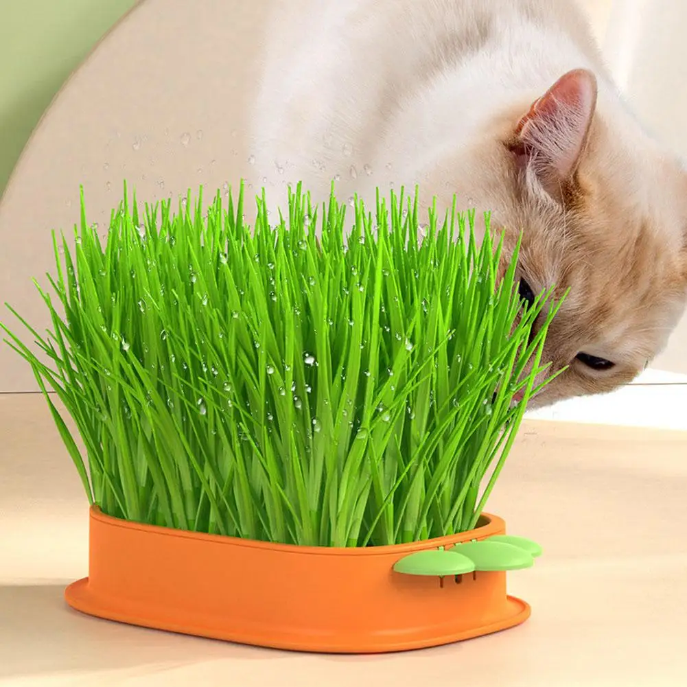 Cat Grass Planter for Indoor Cats Plastic Catnip Cat Grass Box Carrot Shape Hydroponic Cat Grass Tray Soil-Free Culture Box