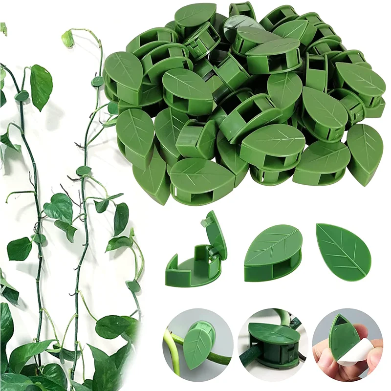 10Pcs Plant Rattan Climbing Fixing Clip Self-Adhesive Invisible Multifunction Garden Hook Vines Climb Support Wire Fixing Clip