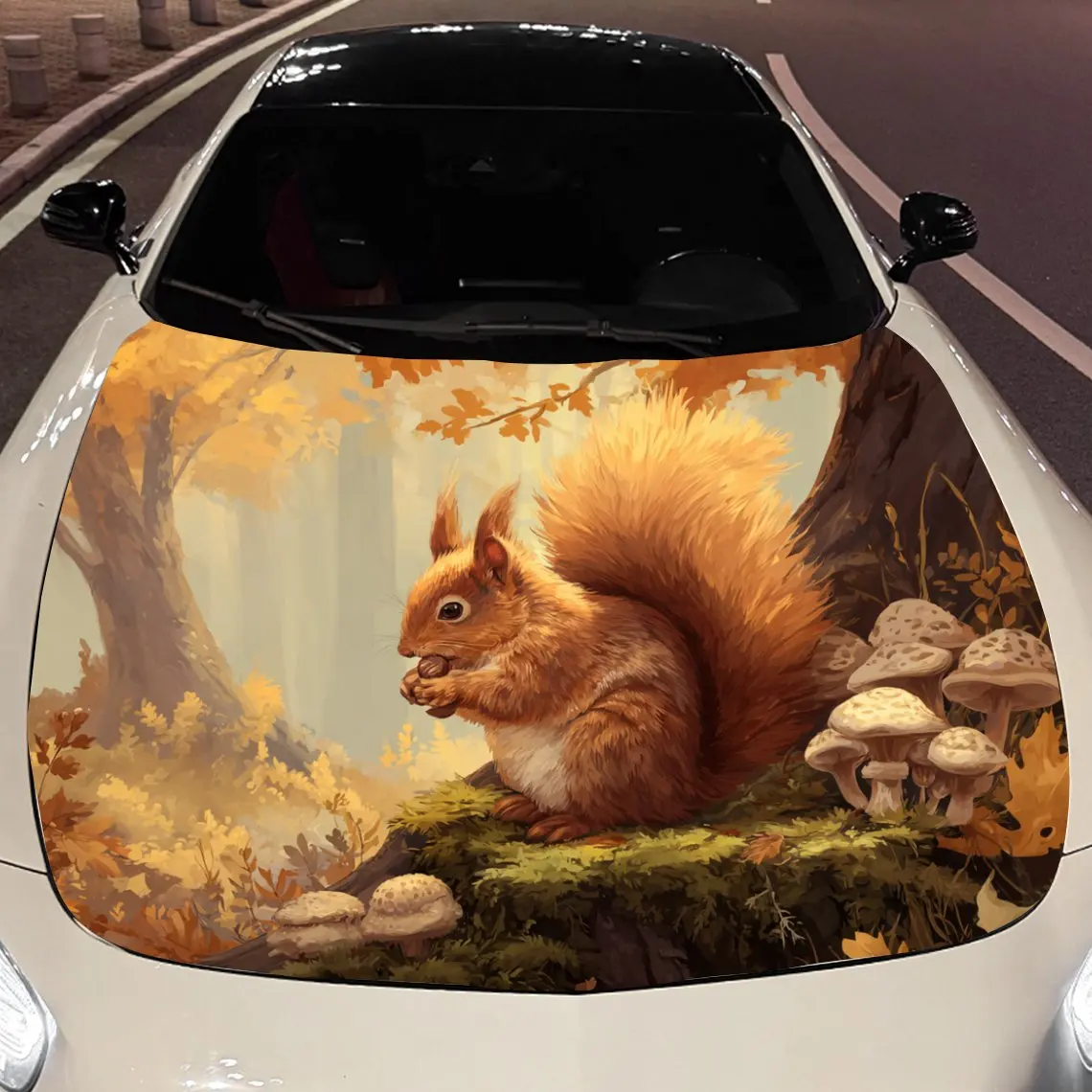 

Car Decals Charming Squirrel in Autumn Forest Car Hood Sticker, Waterproof Self - Adhesive Vinyl Graphics Decals, Decorative Pro