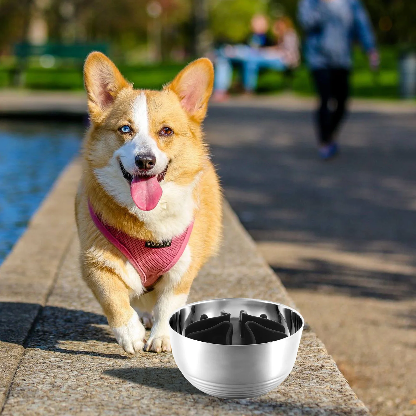 

Slow Feeder Dog Bowls Insert for Wet Or Dry Food Compact Size Safe Silicone Pet Bowl Insert for Small Medium Large Dogs Slow