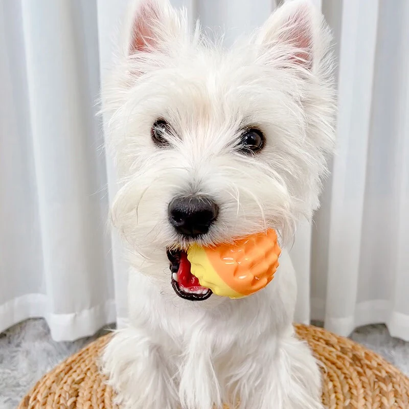 

Pet Dog Ball Chew Toy For Small Medium Large Dogs Outdoor Interactive Squeaky Toys Teeth Cleaning Chihuahua Yorkies Pet Supplies