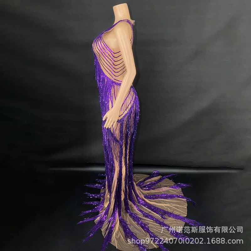 فستان مثير بشراشيب أرجواني لزائدة في يوم رأس السنة الجديدة ملابس أداء المضيف للكبار نموذج المنصة ملابس عصرية تظهر الأزياء #3