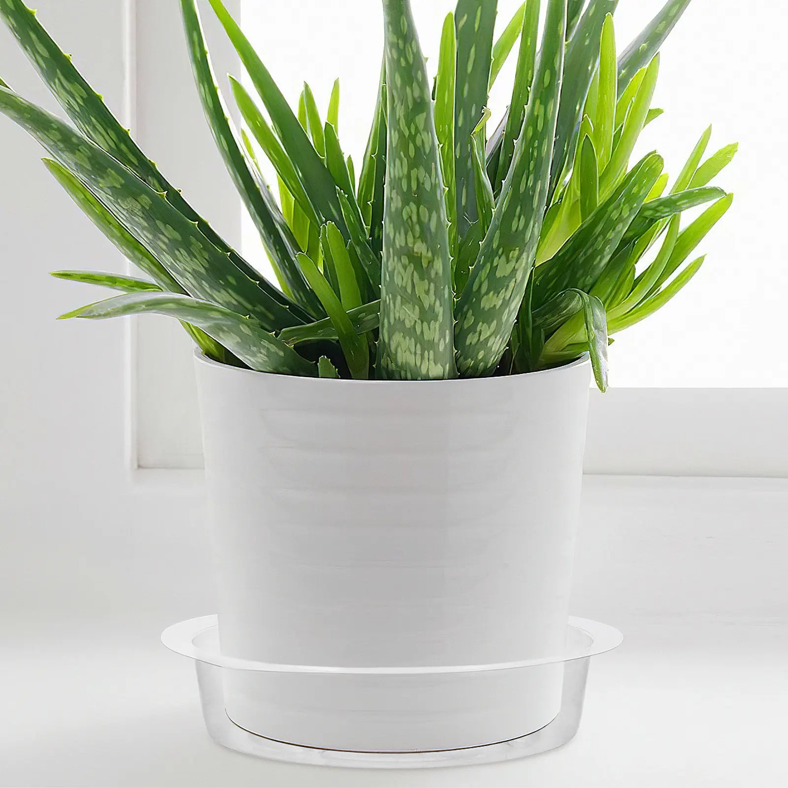 60Pcs 6In Round Flower Pot Dish Tray Pet Plant Saucer Decorative Drainage Tray for Indoor Outdoor Balcony Garden Use