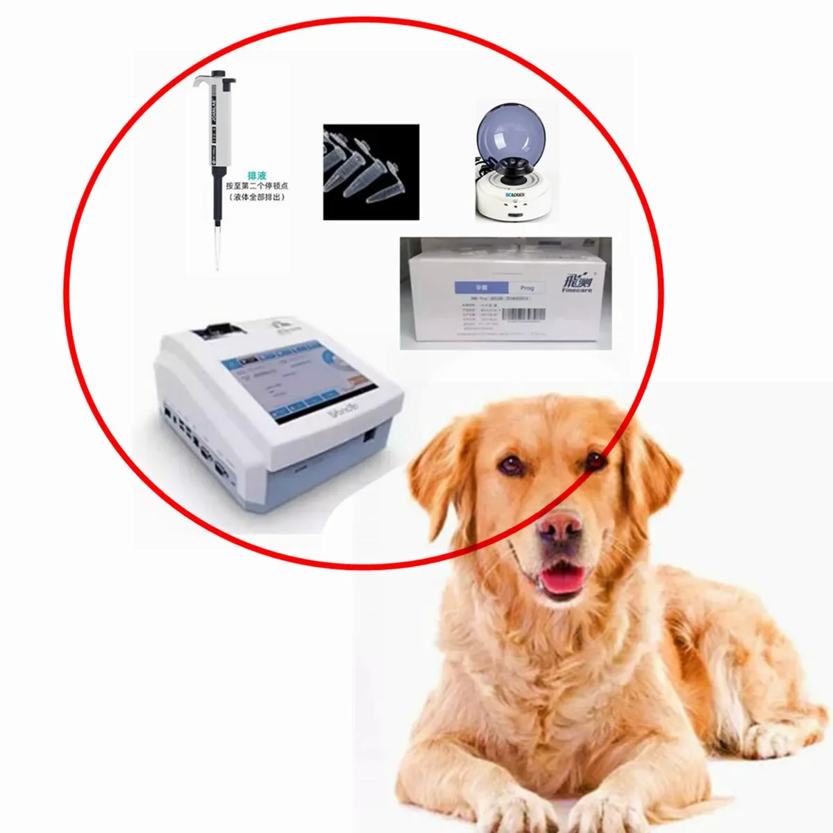 Animal Dog Wondfo Finecare 2 Plus Portable Chemistry Analyzer + bloo Centrifuge + Pipette +  Progesterone Tests Testing Kit