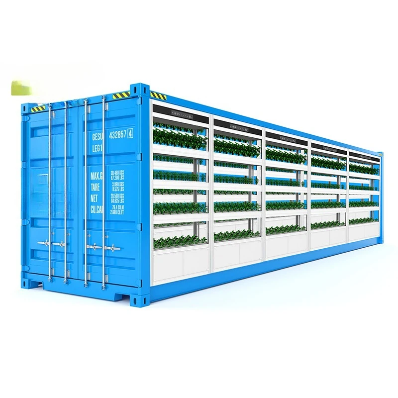 Container forage planting hydroponic greenhouse equipment, plant factory soilless cultivation system hydroponic aeroponic feed