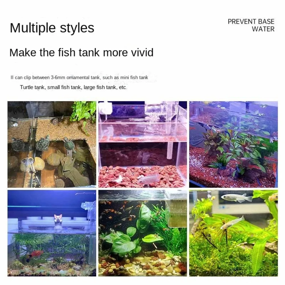 New Mini Fish Tank …