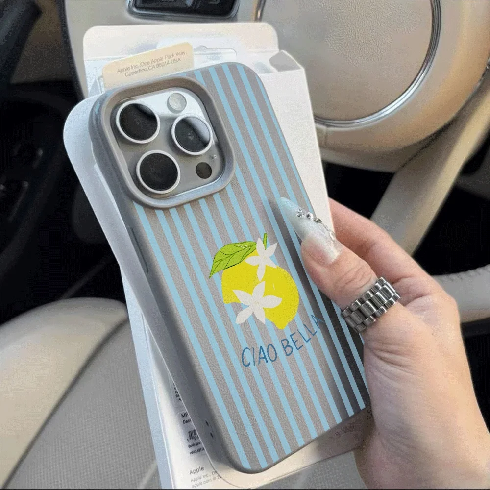 Koreanischer Stil Blaue Streifen Zitronen-Print Handyhülle für iPhone 17 16 15 14 13 12 11 Pro Max Plus 17 XR Silikon Matt Weiche Hülle – Detail 10