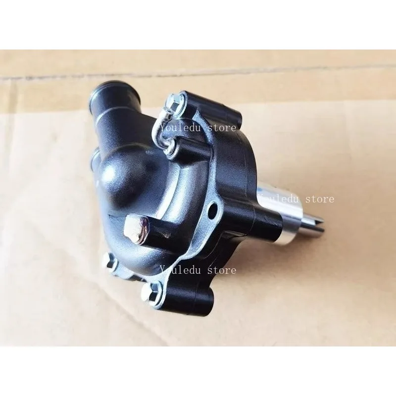 

Подходит для Huanglong BJ300GS Lanbaolong BN302TNT302S в сборе водяного насоса в сборе