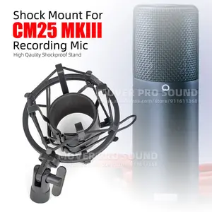 Focusrite and Rockwell sold mic