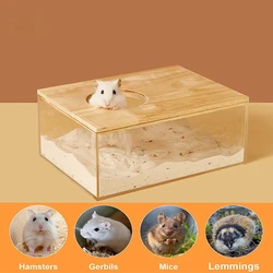 Caja de arena de hámster para casa de baño, lavabo de arena de orina transparente completo, suministros de oso dorado, contenedor de baño de arena para mascotas pequeñas