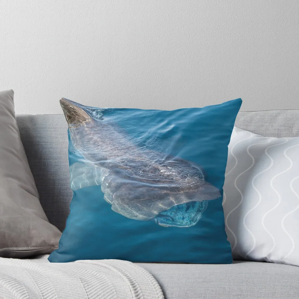 

Basking Shark, West Cork, Ireland Throw Pillow Sofa Cushions Decorative Cushions For Luxury Sofa pillow