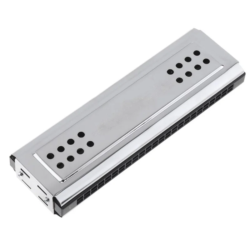 Professional 24 Holes Key of C&G Silver Double-side  Tremolo Harmonica  for Adult Beginner and Children Harmonica Set