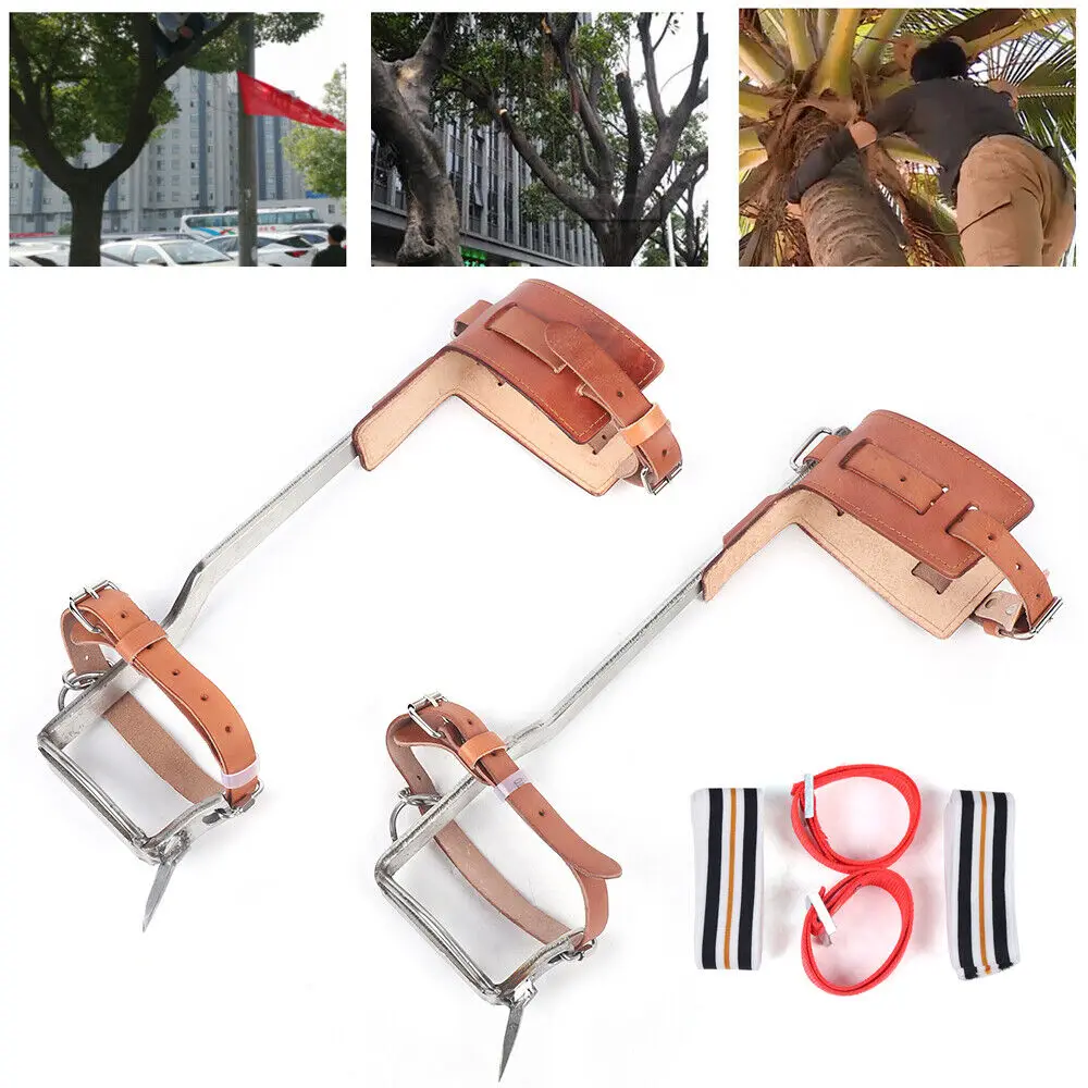 

Tree Climbing Gear Kit for Tree Work 200KG Tree Climbing Tool with Tree Spikes