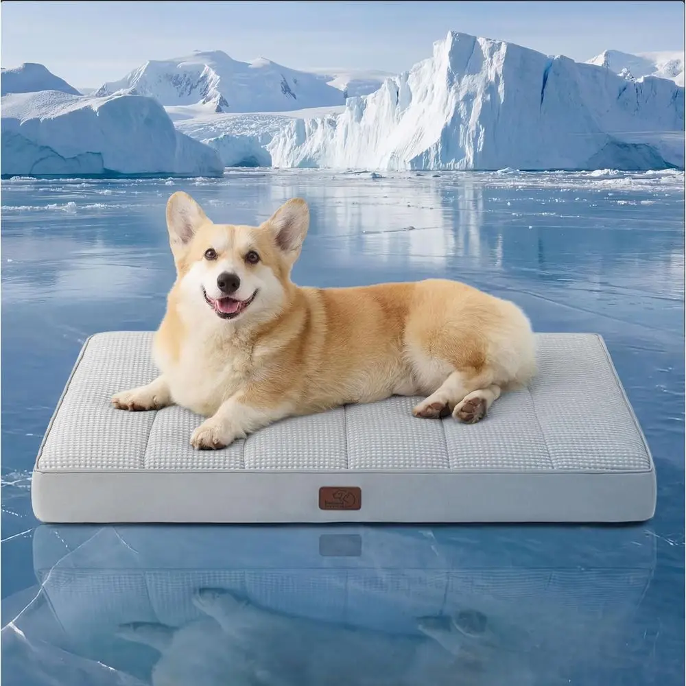 

Large Orthopedic Cooling Dog Bed - 35x22 Inches, Breathable Summer Bed with Removable Washable Cover, Suitable for Pets up to 50