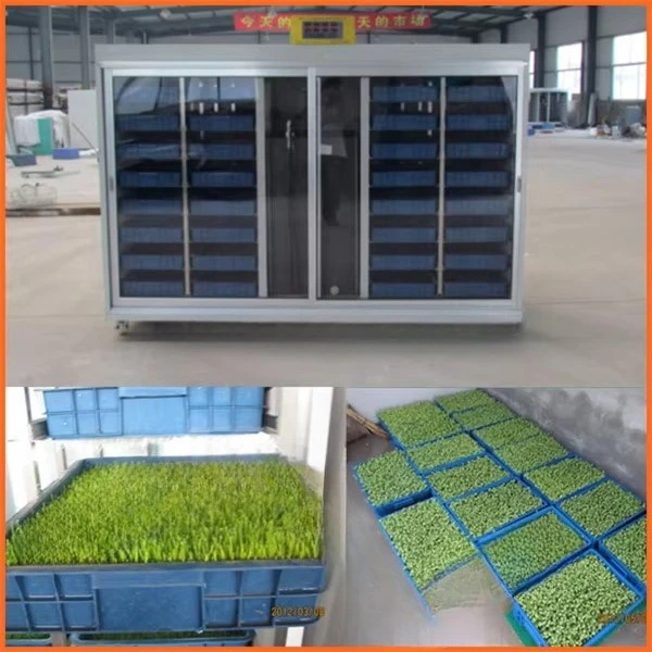 New Arrival Model Hydroponic Seeds Germinate Machine/green Fodder Making Barley Breeding Room