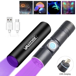 Mini linterna UV recargable para mascotas, luz negra, Detector de musgo, cama, insectos, comida mohosa, 365nm, 395nm