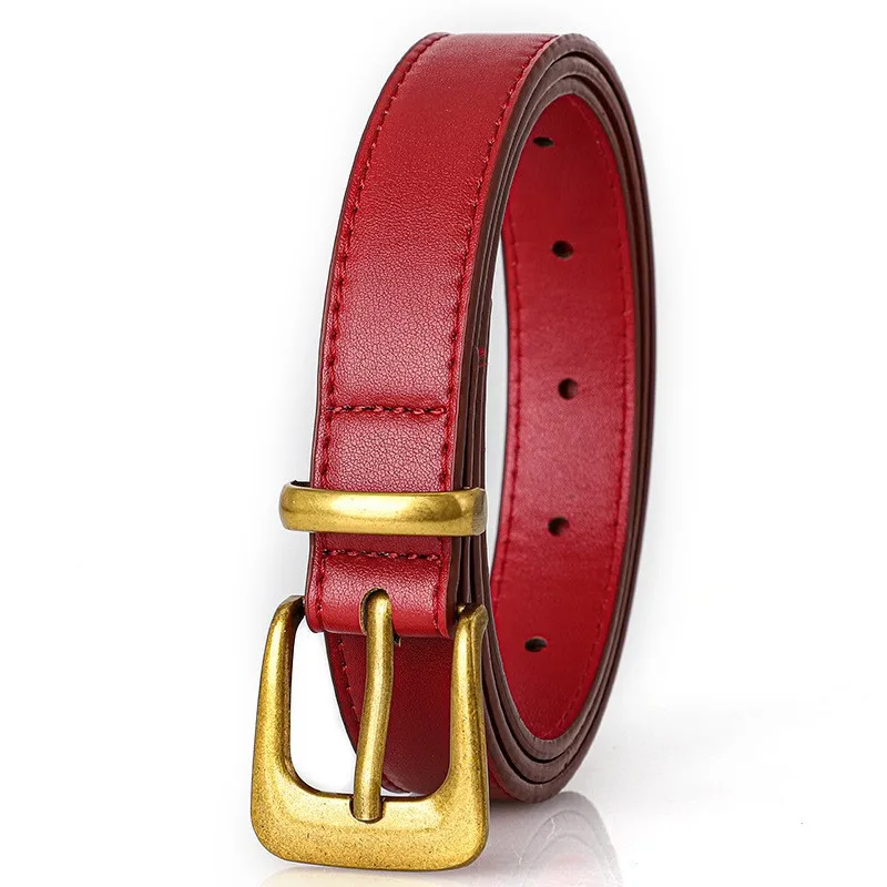 Luxuriöser Vintage-Gürtel mit Nadelschnalle für Damen, vielseitiger PU-Ledergürtel mit schlichtem Design, geeignet für den täglichen Gebrauch, Freizeit und Partys – Detail 3