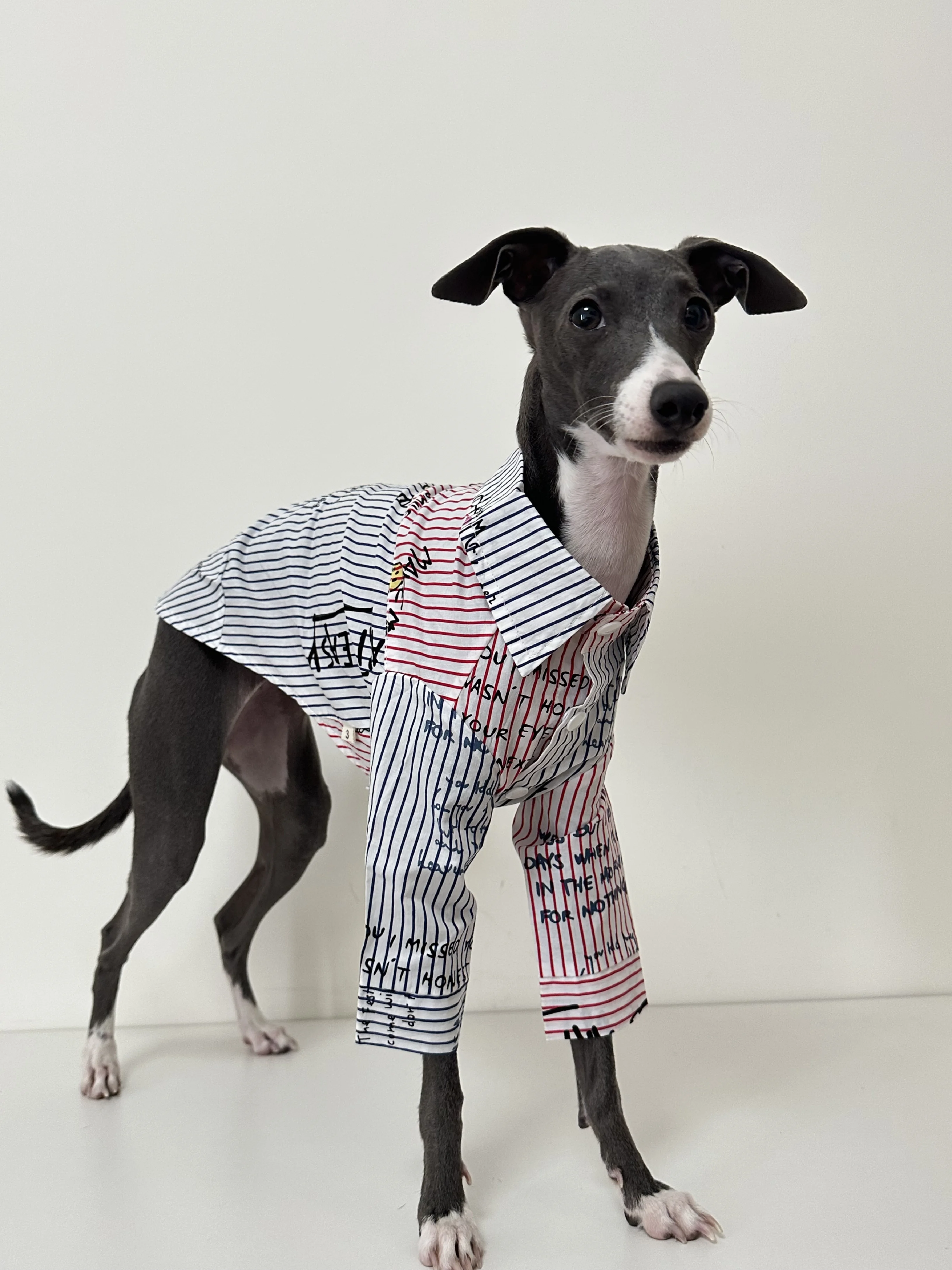 Greyhounds Clothes Spring Summer Breathable Dog Shirt Pure Cotton Whippets Clothes Italian Greyhounds Shirt Pet Supplies