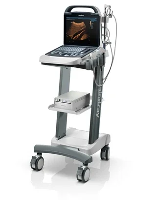 Human use Mindray DP10 Medical BW ultrasound instruments Black and White ultrasound machine With convex probe