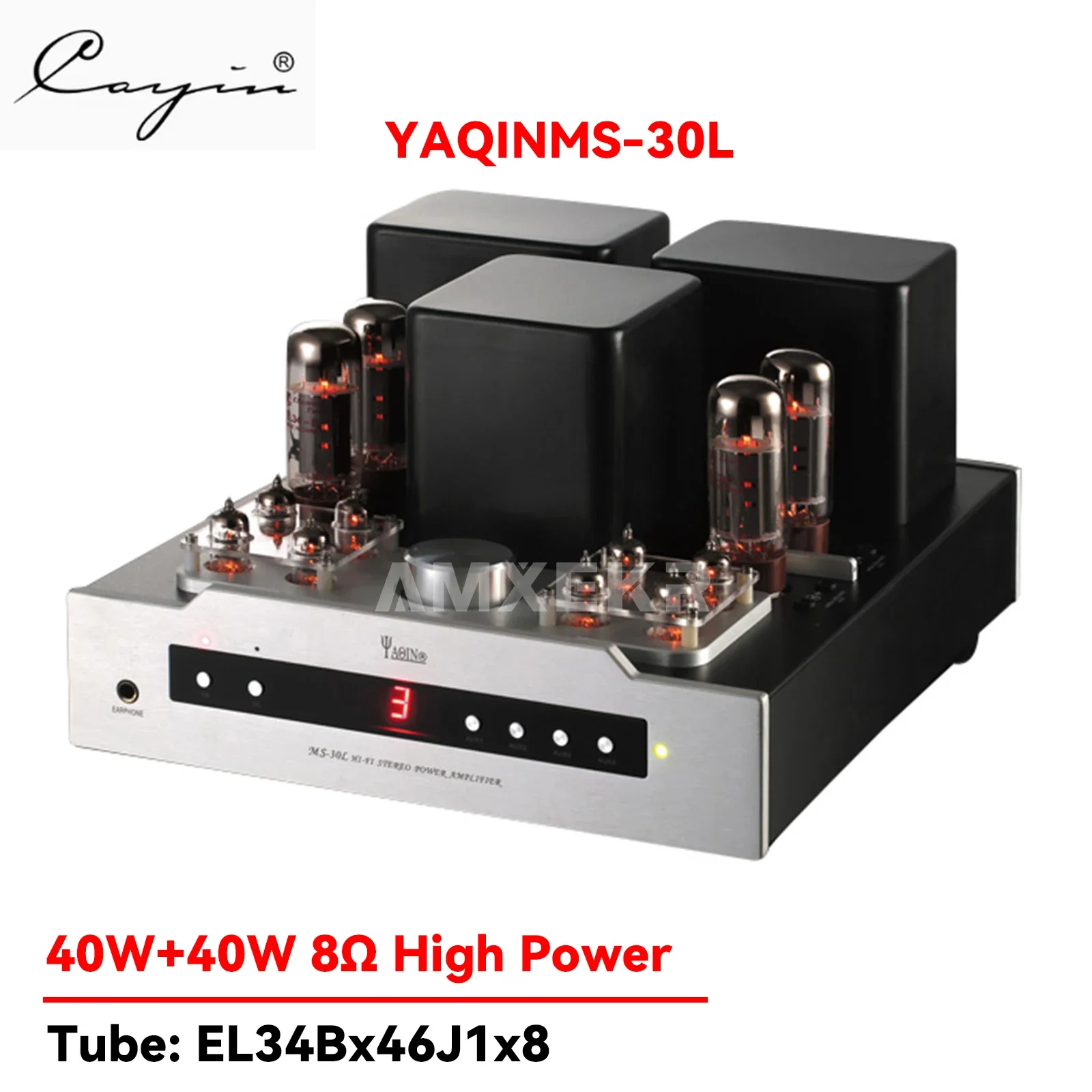 Yaqin MS-30L 40W X … - image