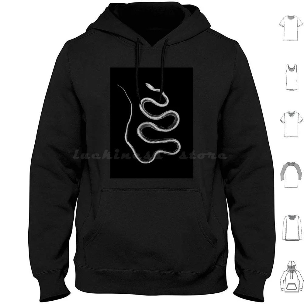 Xray Snake Skeleton…