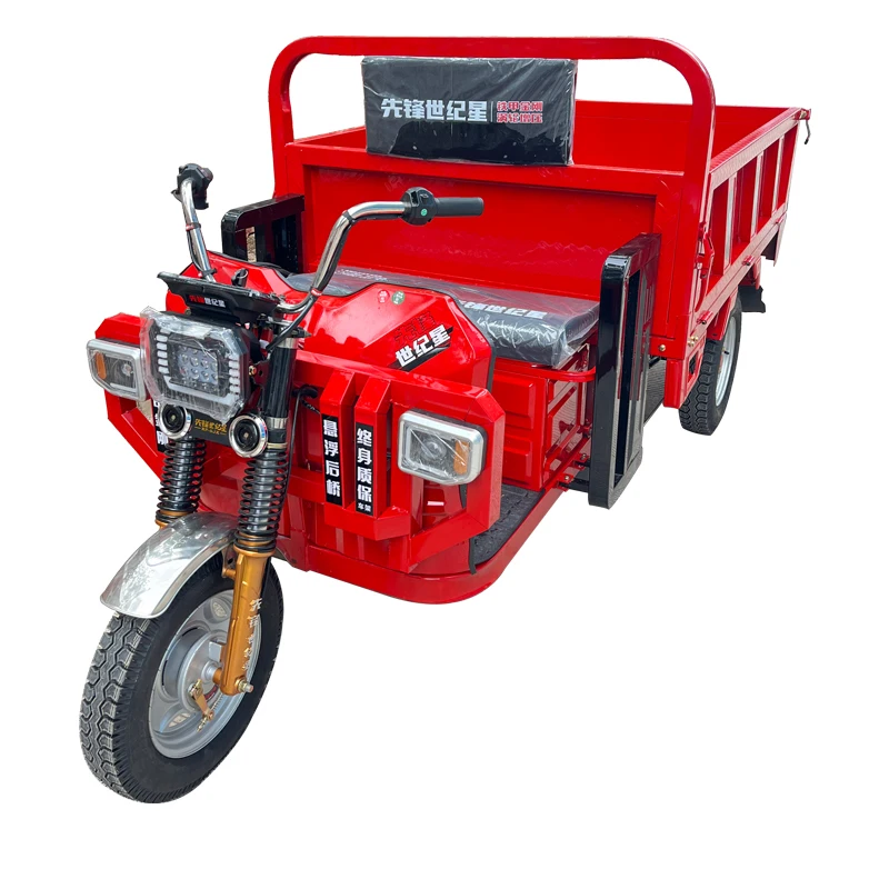 Factory Price 1200W 60V Electric Tricycle Van Truck Cargo Electric Tricycle Cargo bike