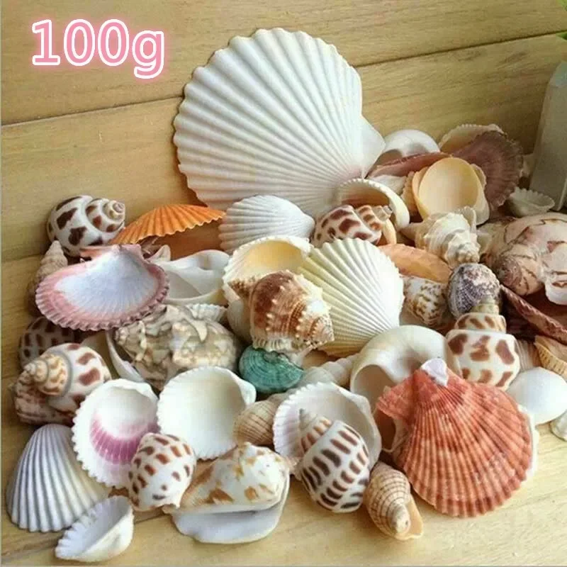 100 Gram Mix Natural Sea Shells Conch Coquillage Beach Decor Craft Marine Style Fish Tank Seashells Conch Embellishment