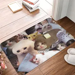 Custom Crying Cat Memes Doormat Mat Anti-Slip Animal Bathroom Kitchen Garden Rug Carpet 40*60cm