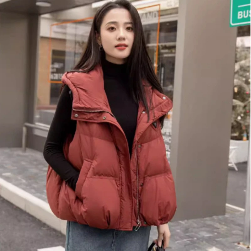 Monochrome Down Waistcoat for Women, Warm Jacket, Collar Neck, Casual Parker Coat, Simple, New, 2024 Autumn and Winter