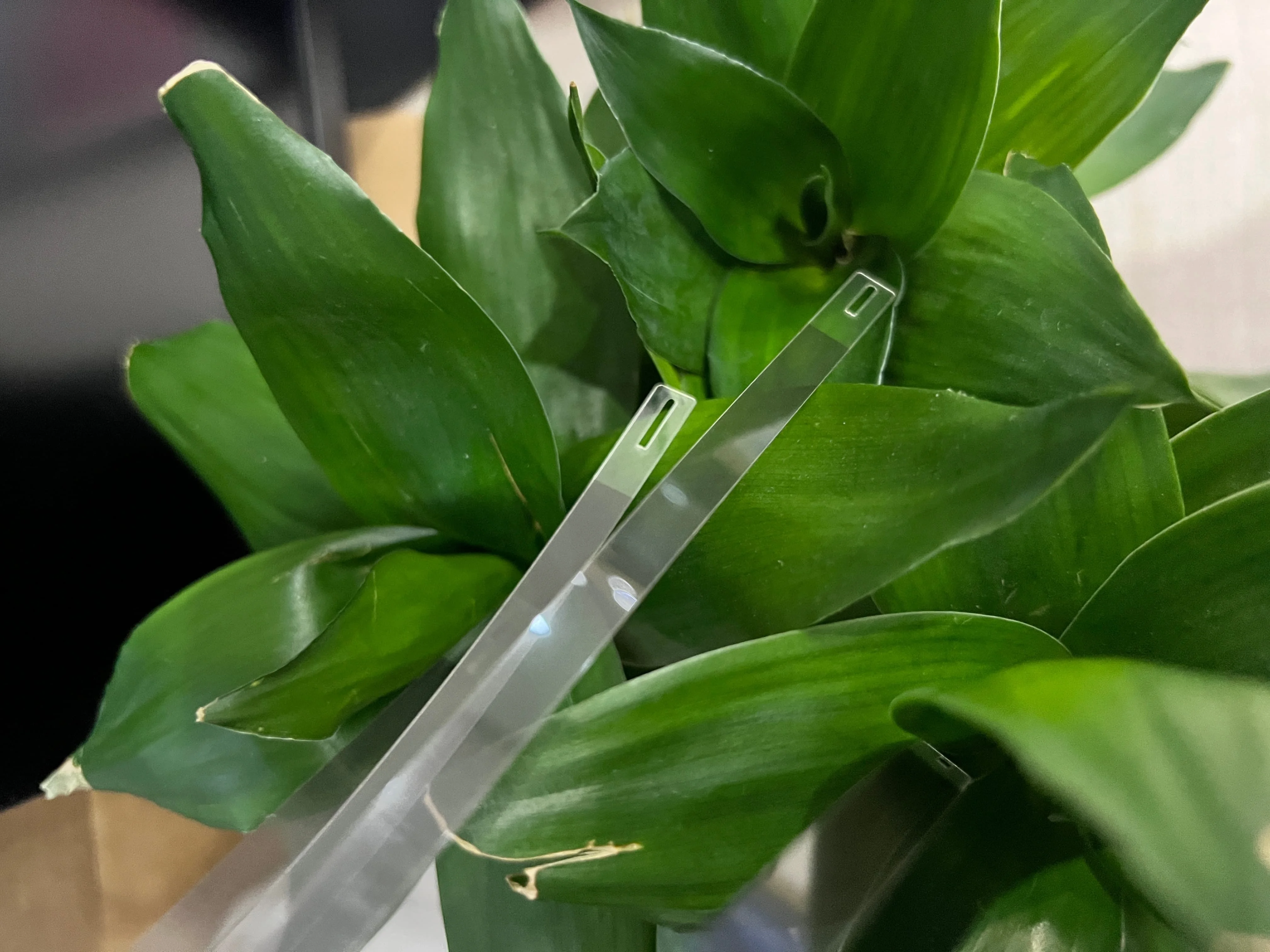 

1829905 the encorder strip for EPSON L8160 L8168 L8058 L8050