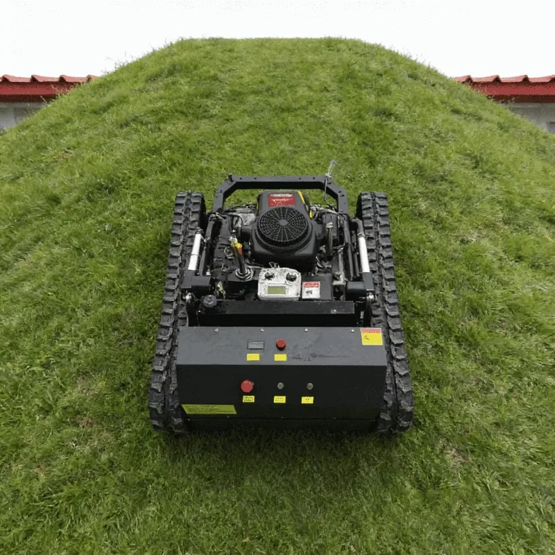 

Customized Ce Approved All Terrain Lawn Mower Agriculture Rubber Track Remote Control Lawn Mower Remote Control Slope Mower