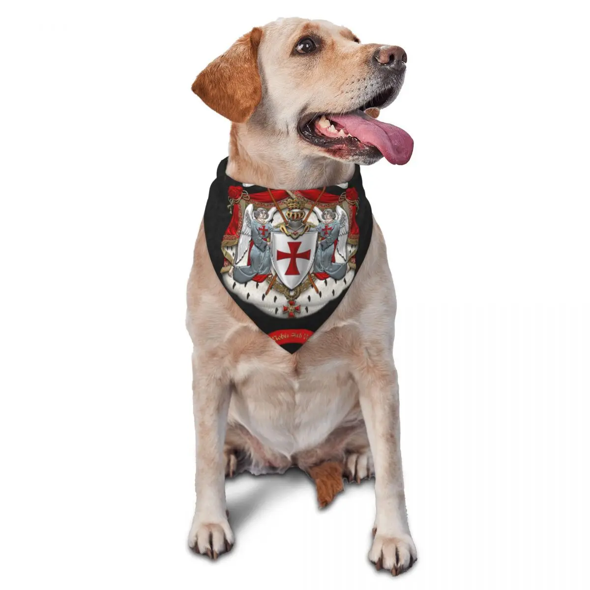 Knights Templar Pet… - image