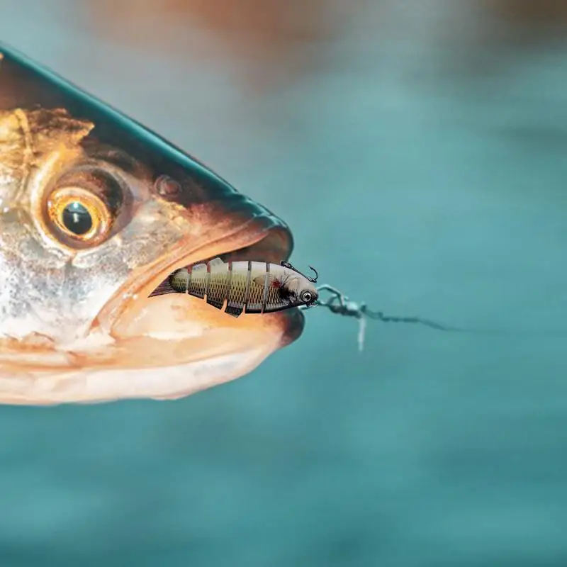 Esche da pesca realistiche esche da pesca riflettenti Multi snodate 3D-Eyed esche da pesca per la pesca del serbatoio del fiume del lago della barca da roccia