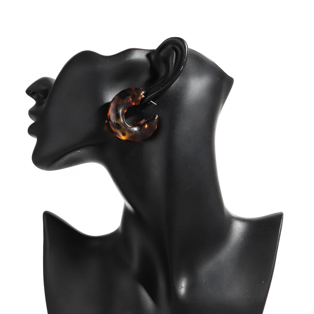 3 أزواج خمر الاكريليك الذهبي ليوبارد فضي هندسية كبيرة مكتنزة طقم من الحلقان للنساء شخصية هوب القرط 2025 مجوهرات #3