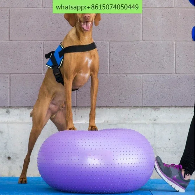 Pet Donut Ball Fitness Sports Rehabilitation Arch Back Correction Posture