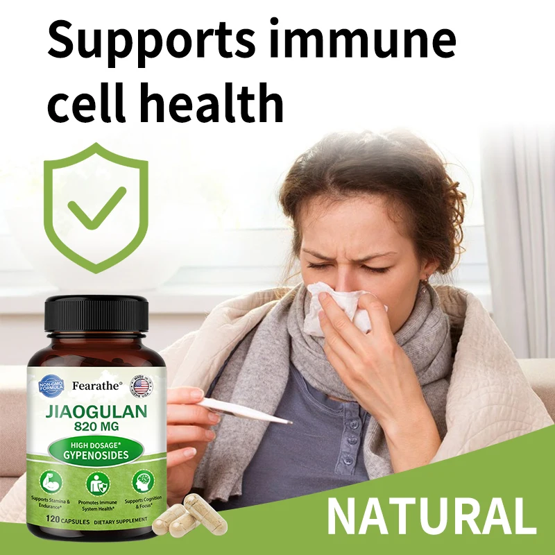 Jiaogulan Capsules - Contains Black Pepper To Balance Immune Health, Promote Blood Circulation and Improve Physical Strength