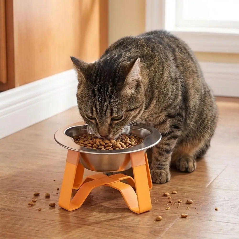 

Large Diameter Stainless Steel Cat Bowl Detachable Protect Cervical Spine Pet High Footed Bowl Cute Non-Slip Base Pet Feeder
