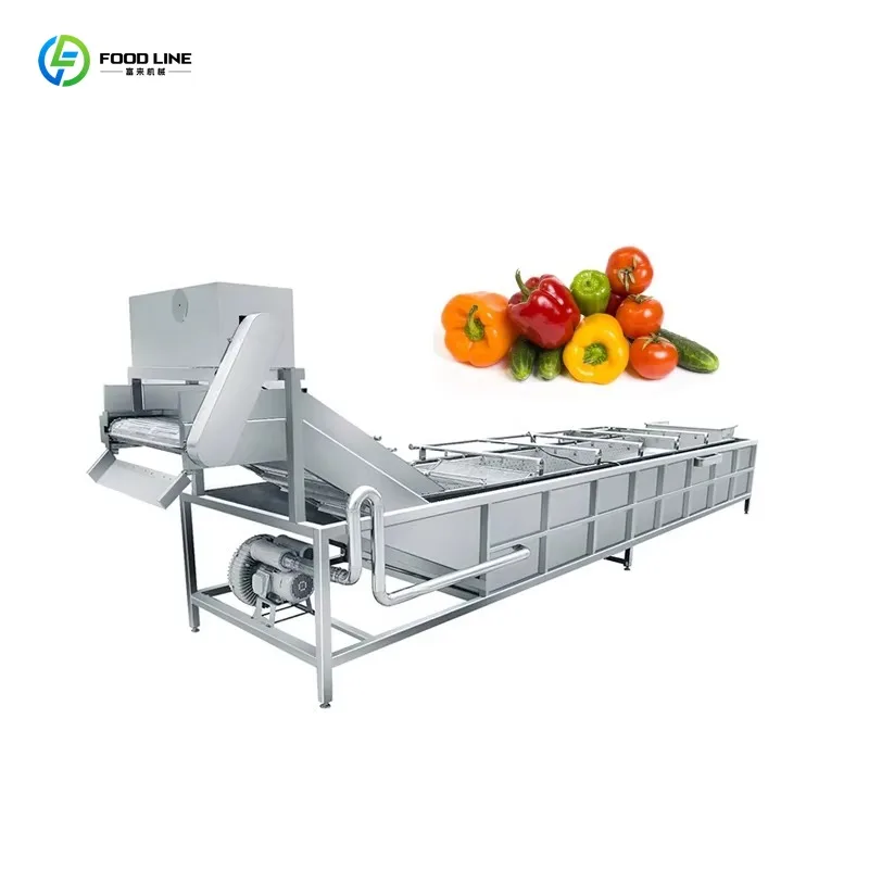 Customized Factory Price Bubble Foam Washing Machine Vegetable Fruit Commercial Cleaning Machine