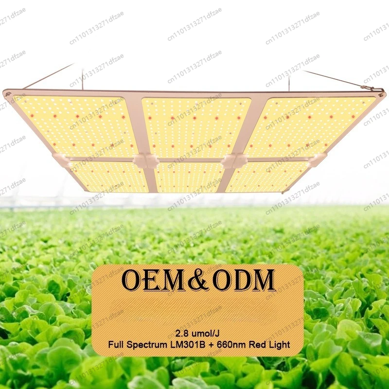 Full Spectrum Indoor Anti-sun Lamps Led Green Plants 200w Plant Growth Quantum Board