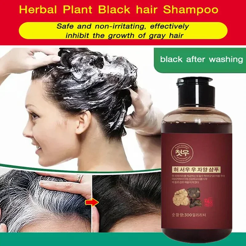 Herbal Polygonum Shampoo Polygonum multiflorum white to black shampoo Effective Grey Hair Remover Anti White Hair Treatmen 300mL