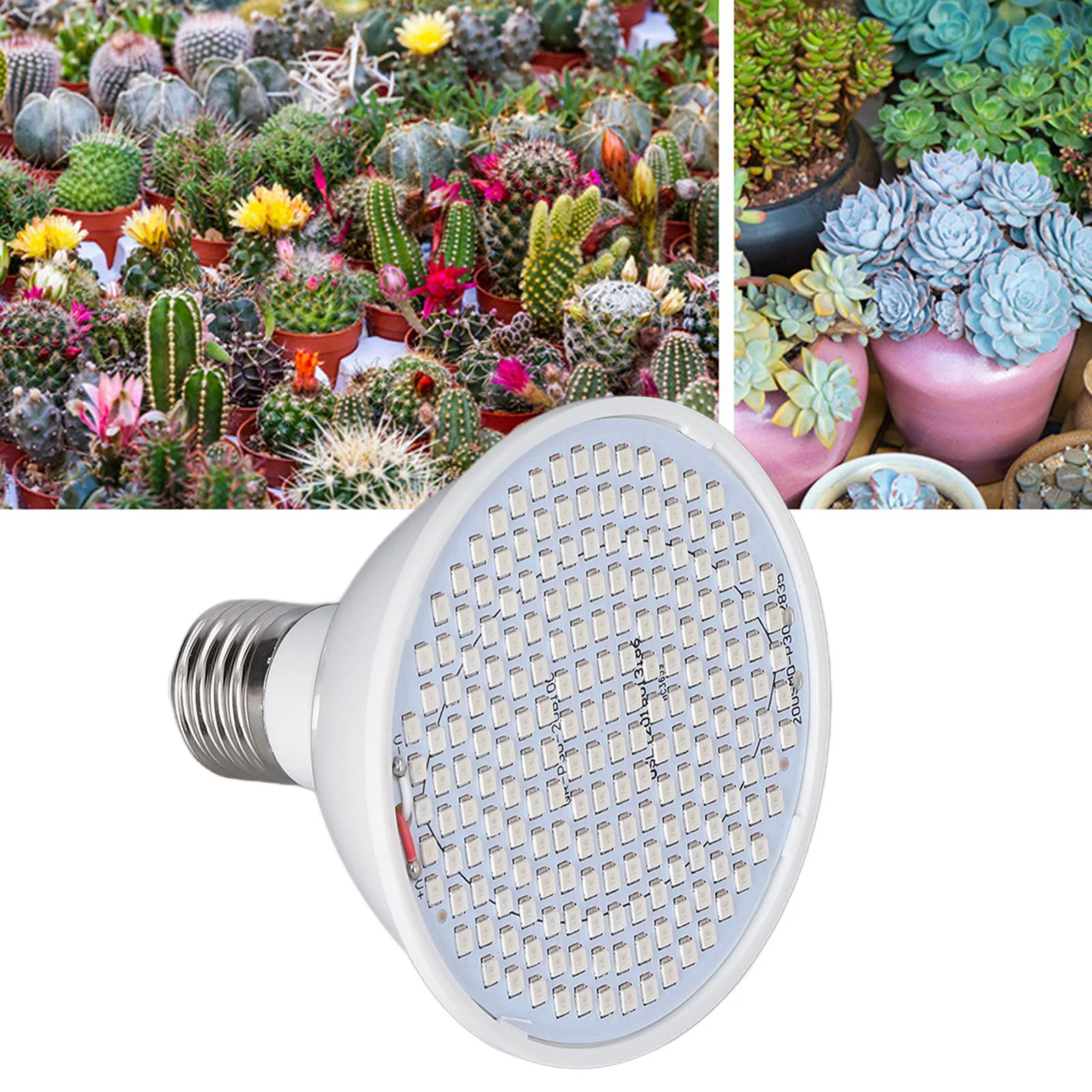 Red and Blue Phytolamp for Plants E27 Plant Lights Bulb 85-265V 200/300 Beads LED 6W Indoor Seedling Growth Light