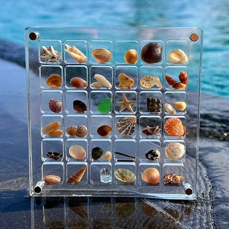 Display Box Acrylic Seashell Display Box Transparent Acrylic Seashell Storage Box Display Box(36 Grids)