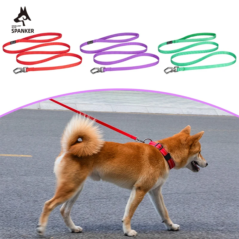 Correa de Nylon para Perros con Mango, Correa de Adiestramiento para Perros Pequeños, Medianos y Grandes, Cuerdas de Tracción para Caminar y Correr, Accesorios para Mascotas